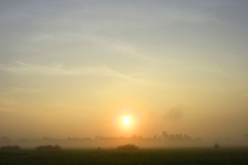 Sunrise and foggy in the morning.