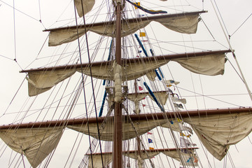 Obraz premium Tall Ships Race Antwerp