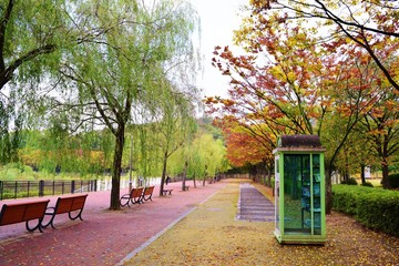가을의 공원과 도서관