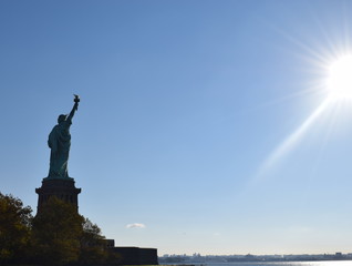 statue of liberty © tareq