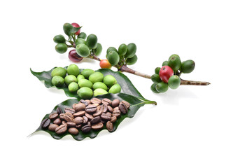 Green coffee beans isolated on white background