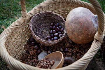 native american food