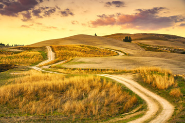 Obrazy na Szkle  Krajobraz Toskanii, wiejska droga i zielone pole. Volterra Włochy