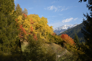 paesaggio autunnale montagne montagne colori autunno piante alberi 