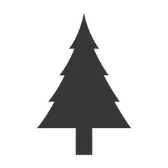 tree pine natural isolated icon vector illustration design