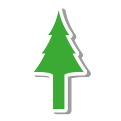 Fototapeta premium tree pine natural isolated icon vector illustration design