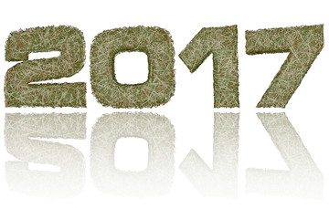 2017 digits composed of military camouflage stripes on glossy white background