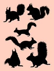 Squirrel animal gesture silhouette. Good use for symbol, logo, web icon, mascot, sign, or any design you want.