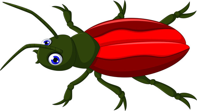 cute red beetle cartoon for you design