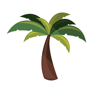 green tropical palm tree icon over white background. vector illustration