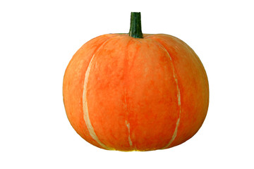 Orange Pumpkin isolated on white background.