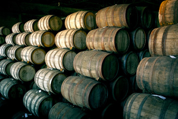 Wine barrels