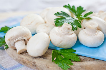 weiße Champignons