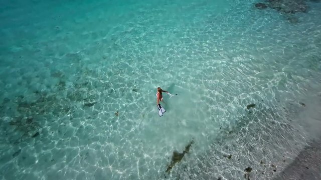 Aerial view of a bikini woman walking out to snorkel, st john, United States Virgin Islands