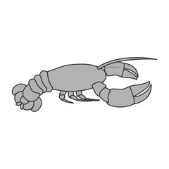 silhouette of lobster icon. sea food design. vector illustration
