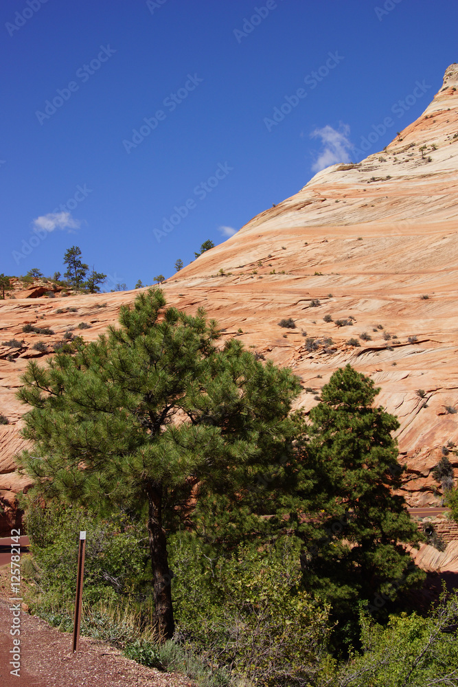 Poster White and red sandstone mountains