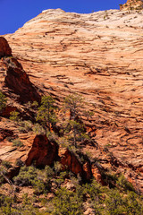 Patterns in the sandstone strata