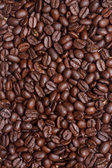 Organic coffee beans in background close up.