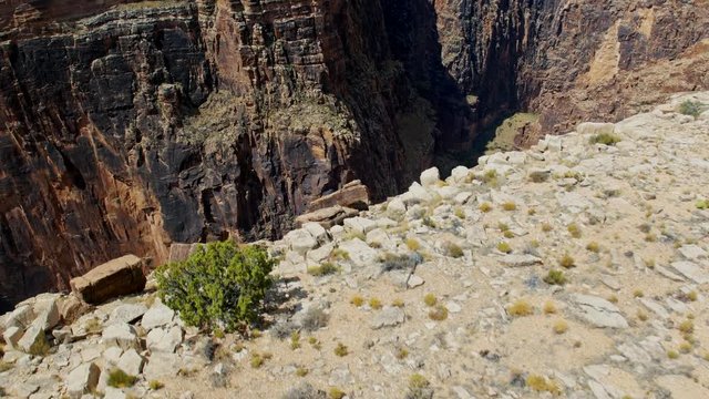 A dizzying aerial shot revealing the rocky formations of Colorado river canyon from behind a deep cliff, showing off the great size and depth of the canyon in a cinematic way