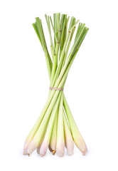 Lemon grass isolated on a white