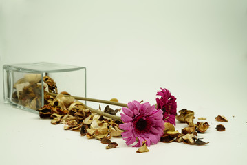 Obraz na płótnie Canvas dried colorful flowers on a white background