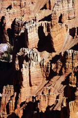 Detail, pinnacles and hoodoos of red Navajo sandstone