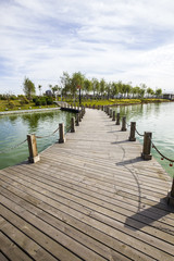 The wood bridge in park