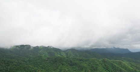 Fog on the top of moutain