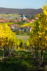 Herbstliche Weinberge