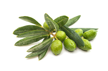 Green olives with leaves