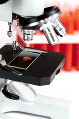 close up macro microscope with blood sample on white background