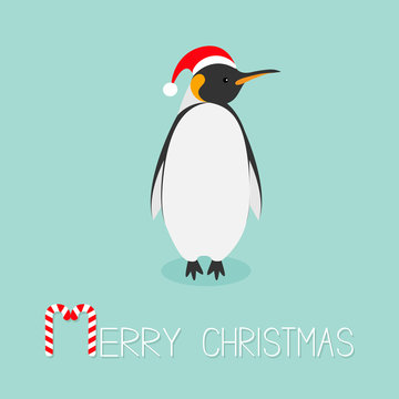 King Penguin Santa red hat. Emperor Aptenodytes Patagonicus Cute cartoon character. Flat design Winter antarctica bluebackground Merry Christmas Candy cane text. Greeting card.