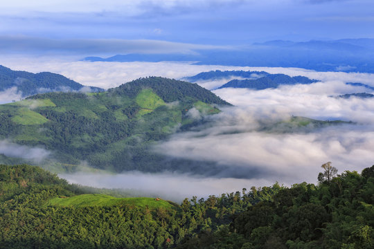 Mountain after raining with the fog.Doi Pha Mee, Chiang Rai, Tha