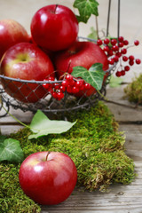 Red apples and moss, autumn home decoration idea