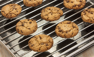 Rows of freshly baked chocolate chips cookies on baking tray