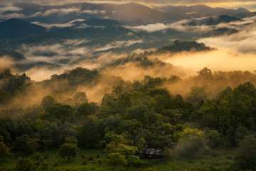 Doi Hua Mod,Umphang Wildlife Sanctuary,Umphang district,Tak Province, Thailand