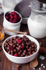 chocolate cereal rings in bowl