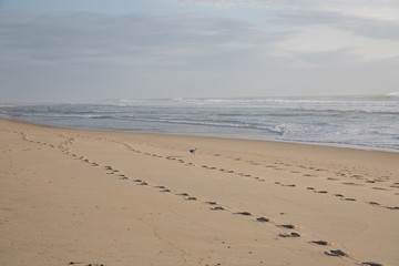 Bare footsteps on the sand on a beach