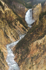 Lower fall of Yellowstone National Park