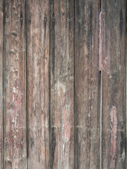 Background of the wooden fence.