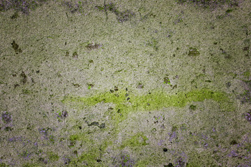 Green Stone Texture