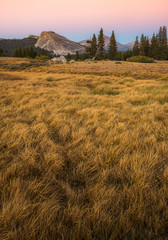 Tuolumne Meadow Yosemite