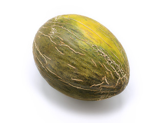  Cantaloupe melon isolated on white