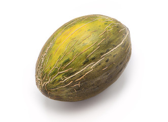Green cantaloupe melon isolated on white