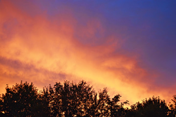Fototapeta na wymiar Purple sunset