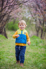 Toddler boy in blooming garden