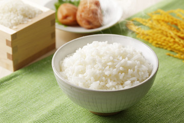 炊きたてのご飯　Japanese rice