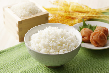 炊きたてのご飯　Japanese rice