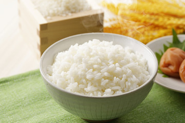 炊きたてのご飯　Japanese rice