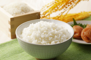 炊きたてのご飯　Japanese rice
